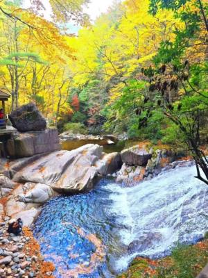 【希爾頓光霧山】光霧山金秋紅葉高端純玩三日游