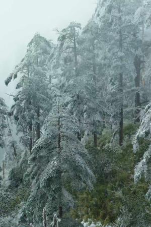 【成都出發(fā)】瓦屋山、柳江古鎮(zhèn)純玩二日游